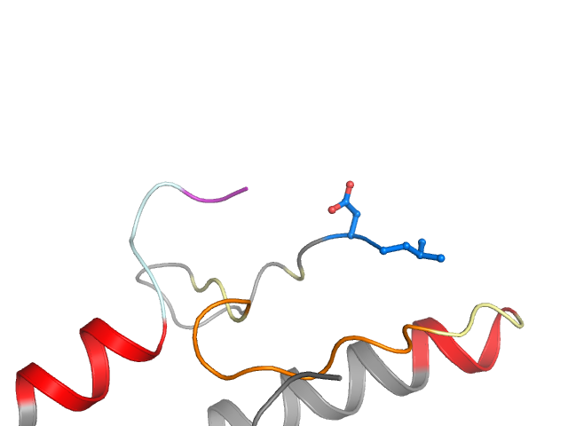 The orthosteric binding pocket
