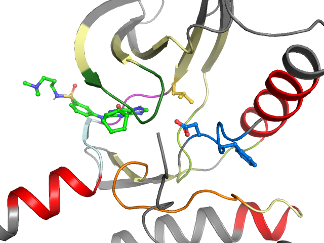 The orthosteric binding pocket