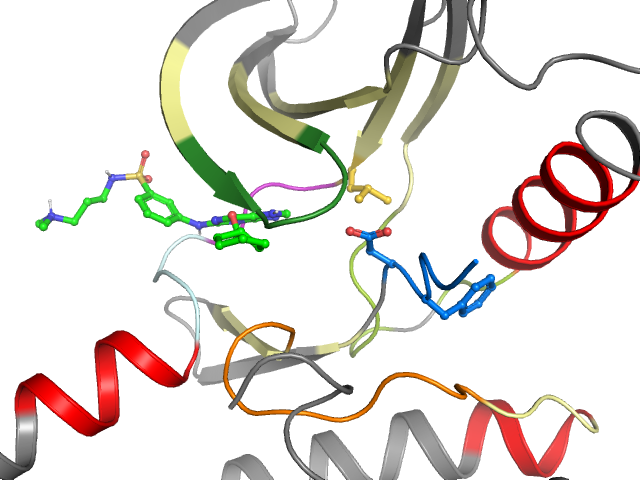 The orthosteric binding pocket