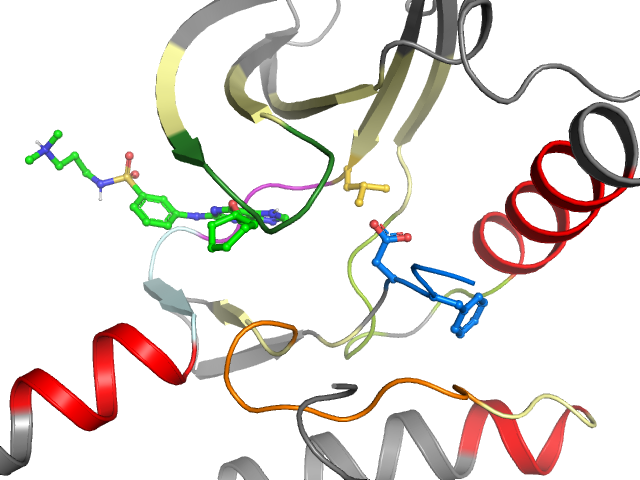 The orthosteric binding pocket