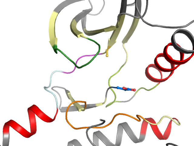 The orthosteric binding pocket