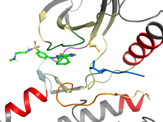 The orthosteric binding pocket