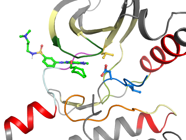 The orthosteric binding pocket