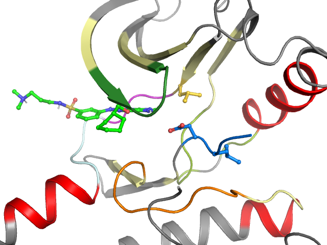 The orthosteric binding pocket