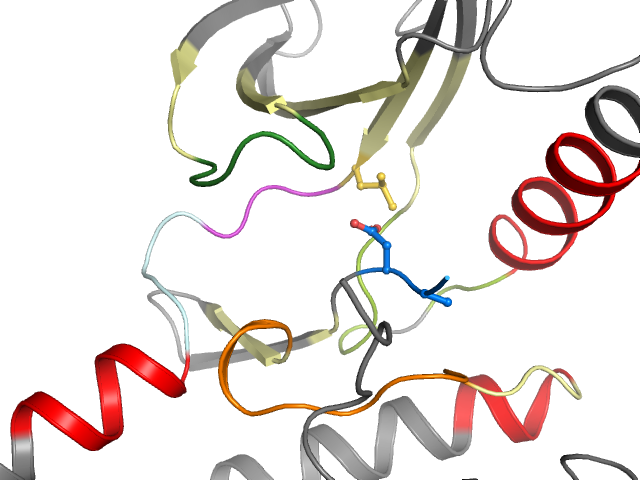 The orthosteric binding pocket