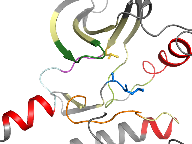 The orthosteric binding pocket