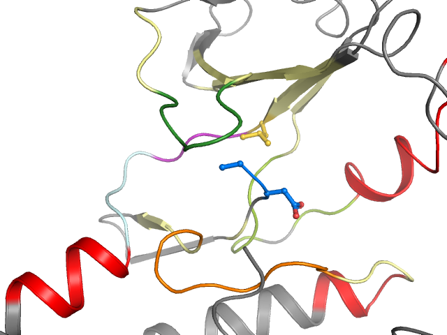 The orthosteric binding pocket