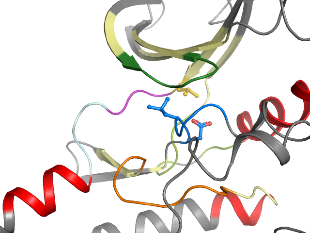 The orthosteric binding pocket