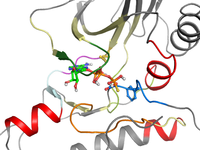 The orthosteric binding pocket