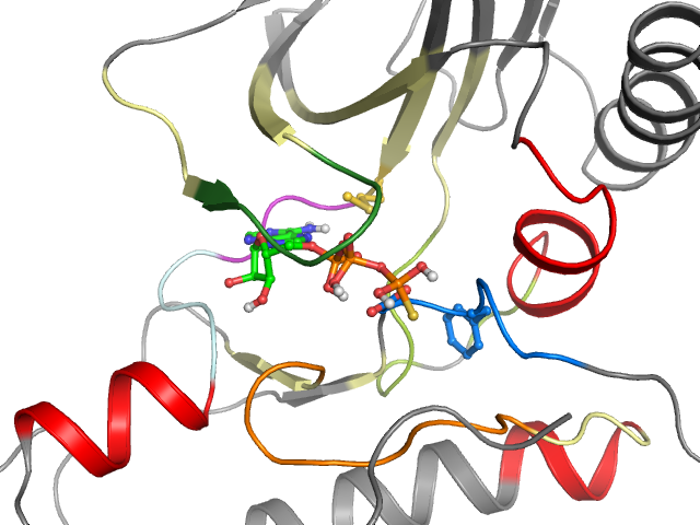 The orthosteric binding pocket