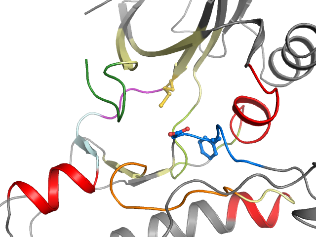 The orthosteric binding pocket
