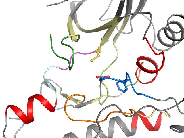 The orthosteric binding pocket