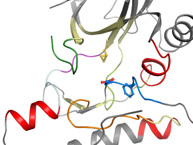 The orthosteric binding pocket