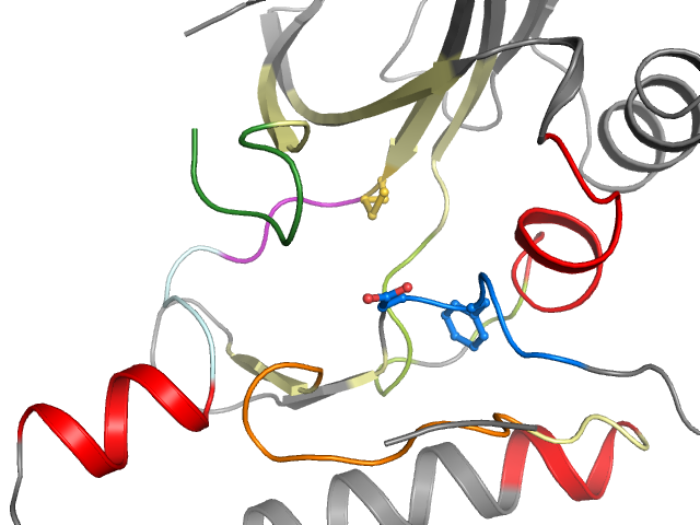 The orthosteric binding pocket
