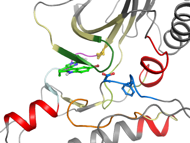 The orthosteric binding pocket
