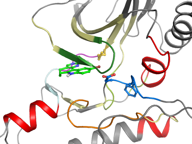 The orthosteric binding pocket