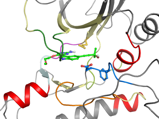 The orthosteric binding pocket