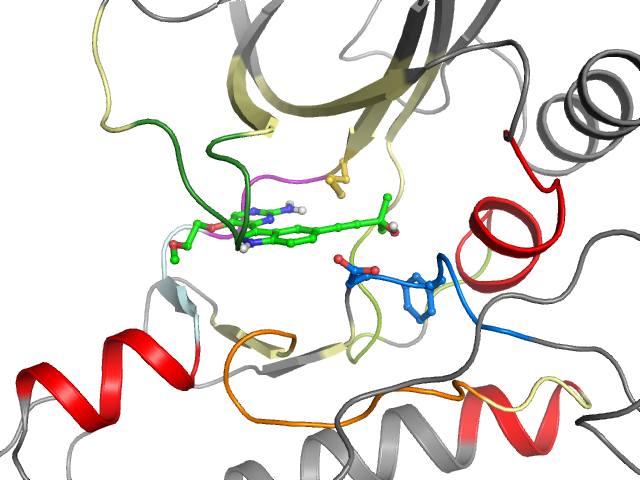 The orthosteric binding pocket
