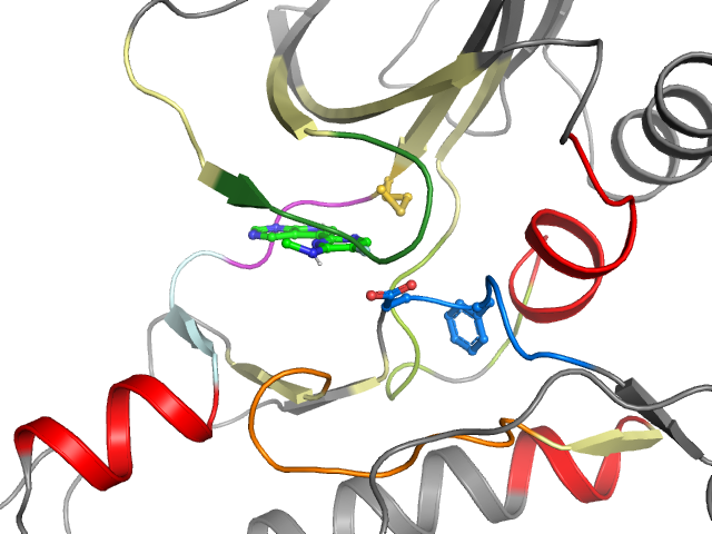 The orthosteric binding pocket