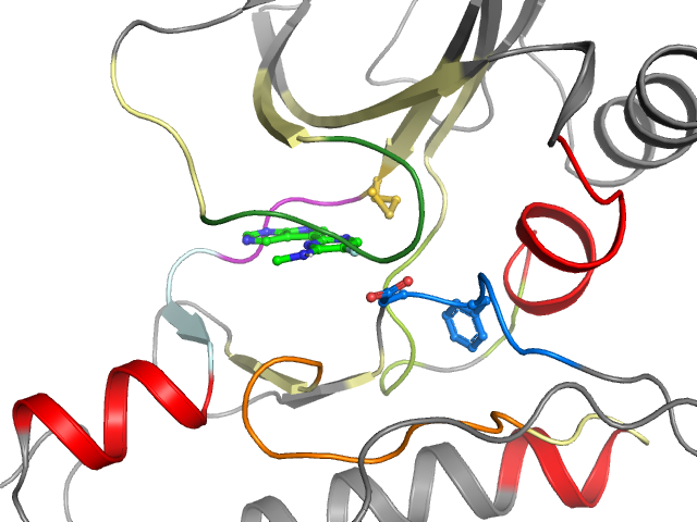 The orthosteric binding pocket