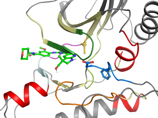 The orthosteric binding pocket