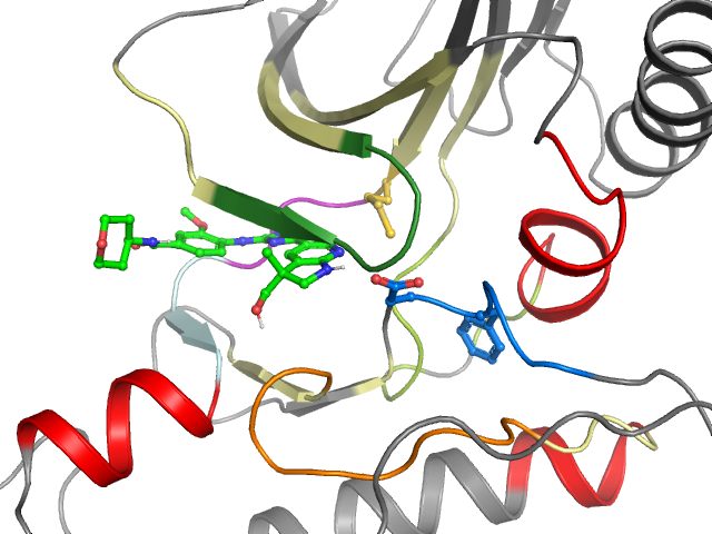 The orthosteric binding pocket