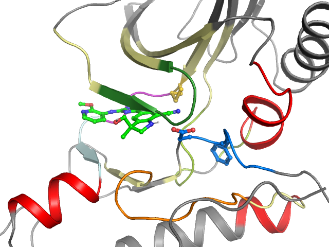 The orthosteric binding pocket