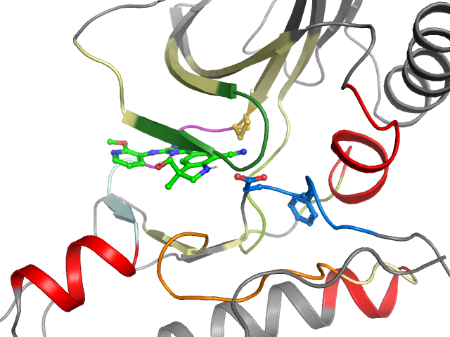The orthosteric binding pocket