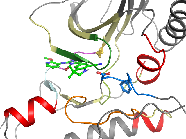 The orthosteric binding pocket