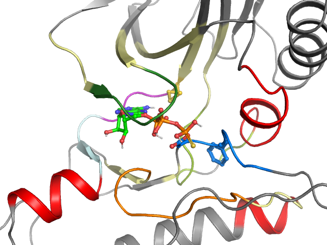 The orthosteric binding pocket