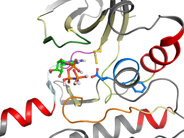 The orthosteric binding pocket
