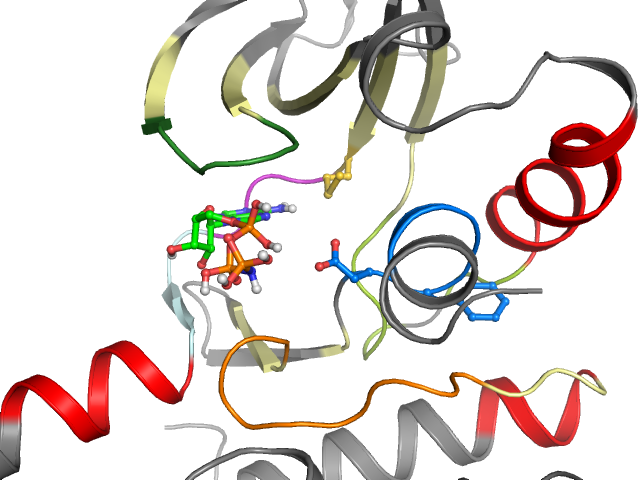 The orthosteric binding pocket
