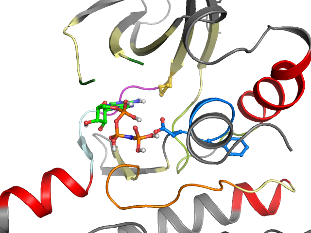 The orthosteric binding pocket