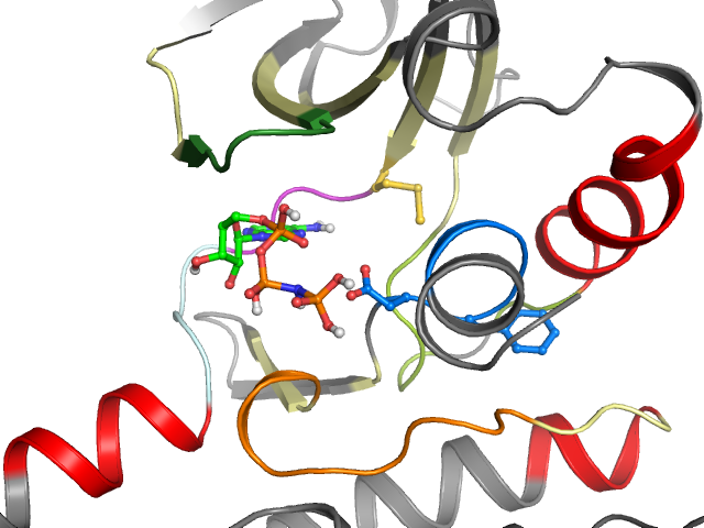 The orthosteric binding pocket