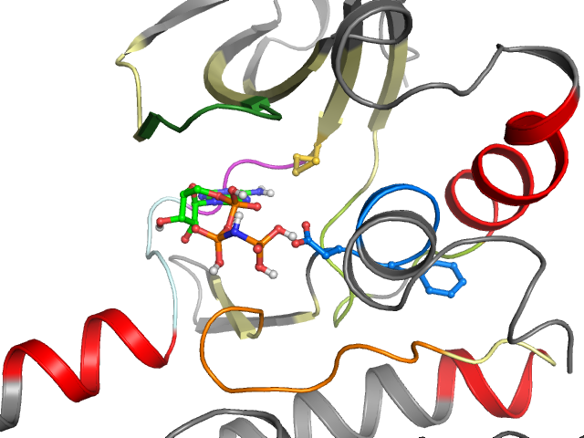 The orthosteric binding pocket
