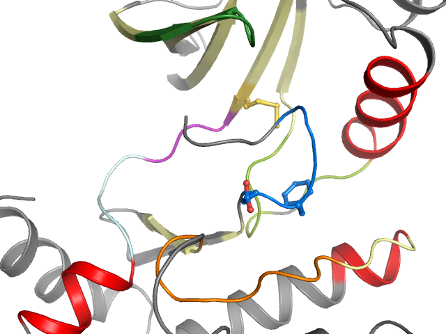 The orthosteric binding pocket