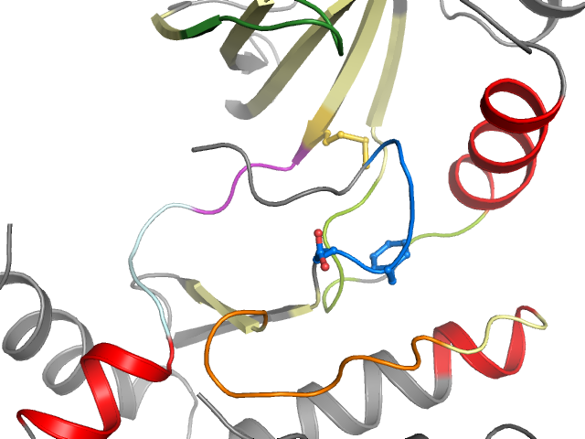 The orthosteric binding pocket