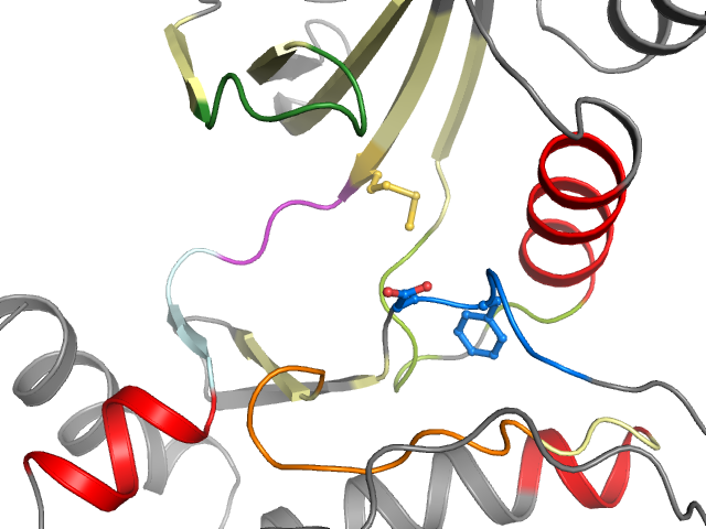 The orthosteric binding pocket