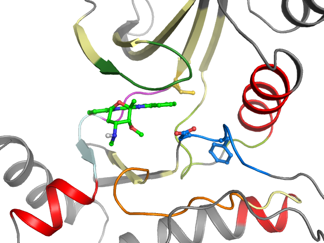 The orthosteric binding pocket