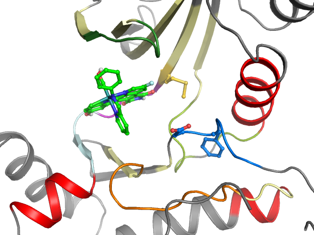 The orthosteric binding pocket