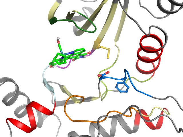 The orthosteric binding pocket
