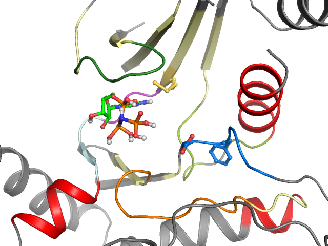 The orthosteric binding pocket