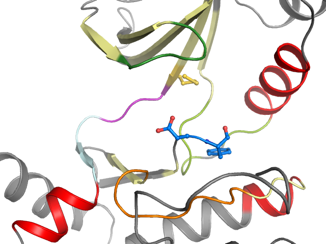 The orthosteric binding pocket