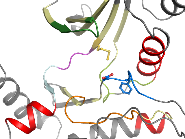 The orthosteric binding pocket