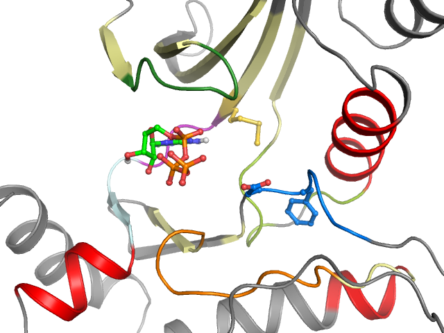The orthosteric binding pocket