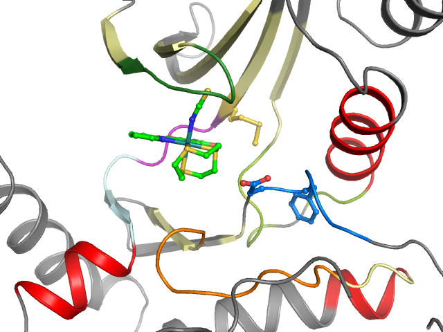The orthosteric binding pocket