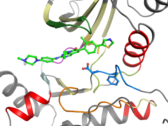 The orthosteric binding pocket