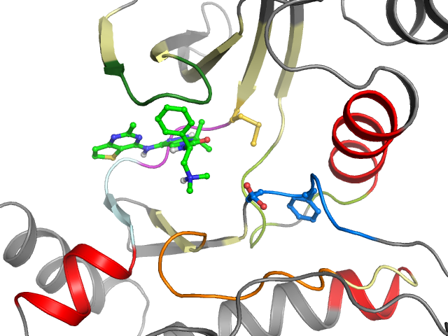 The orthosteric binding pocket