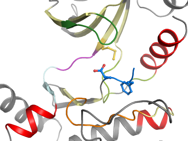 The orthosteric binding pocket