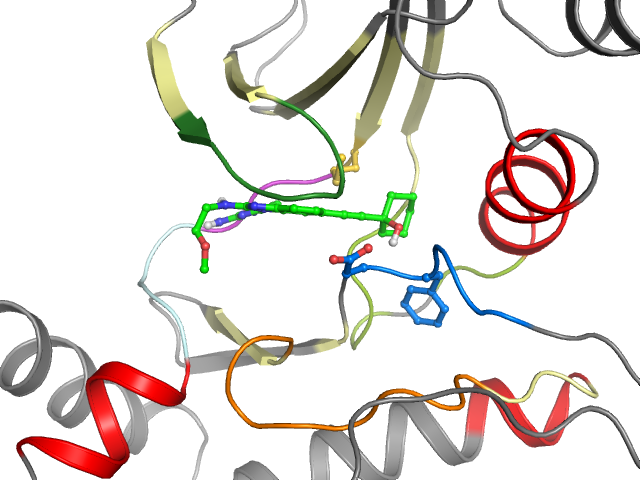 The orthosteric binding pocket